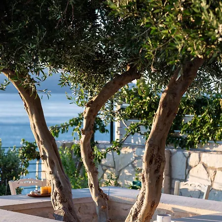 Miraida Exclusive Villa *